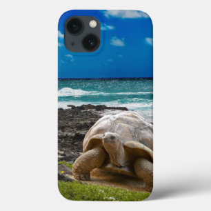 Large turtle at the sea edge