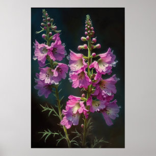 Larkspur Flower Art Poster