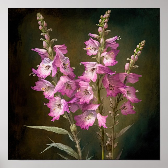Larkspur Flower Art Poster (Frente)