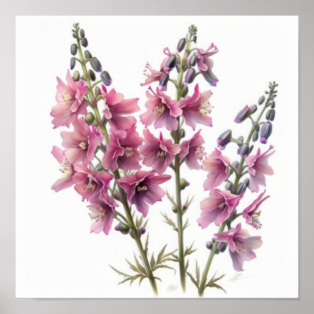 Larkspur Flower Art Poster (Frente)