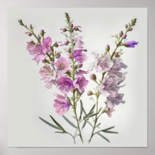 Larkspur Flower Art Poster