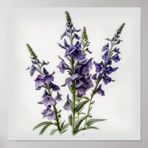 Larkspur Flower Impressão