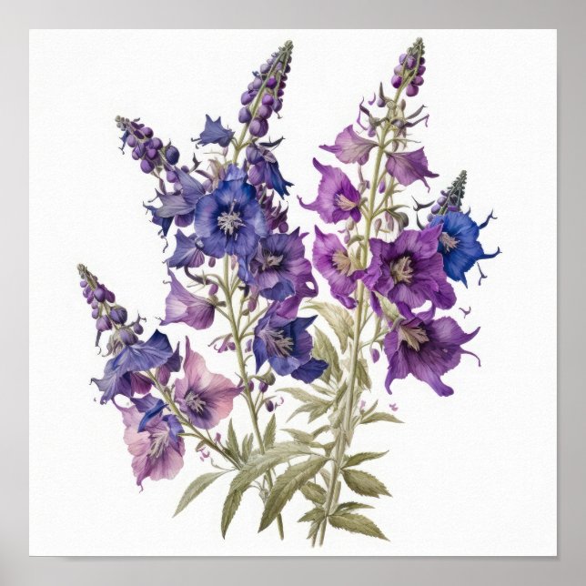 Larkspur Flower Impressão (Frente)
