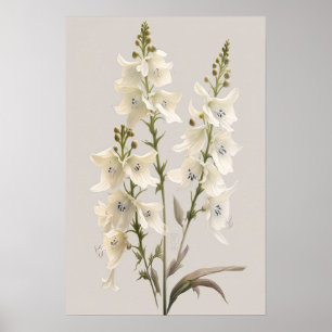 Larkspur Impressão