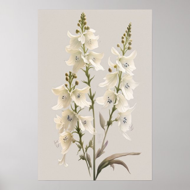 Larkspur Impressão (Frente)