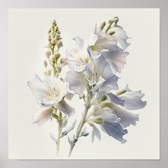 Larkspur Impressão (Frente)
