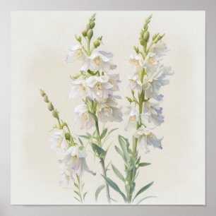 Larkspur Impressão