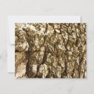 Latido de Árvore II Textura natural Design