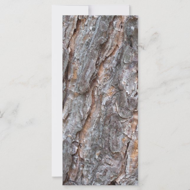 latido do pinheiro (Frente)