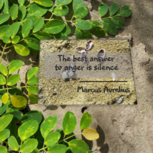 Latim cita o silêncio filosofia poster