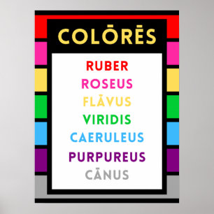 Latim Colors Poster - Presente para Professores La
