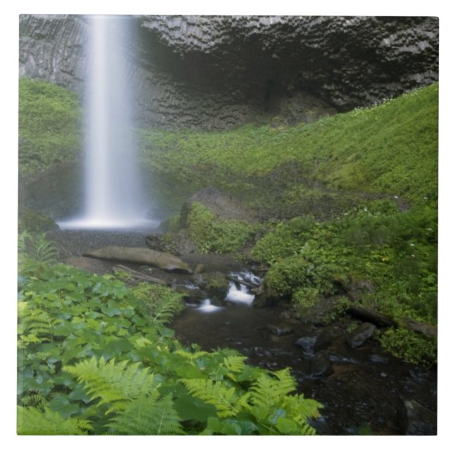 Latourell Falls, Columbia River Gorge, Oregon (Frente)