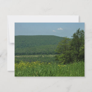 Laurel Highlands Pennsylvania Summer Photoics