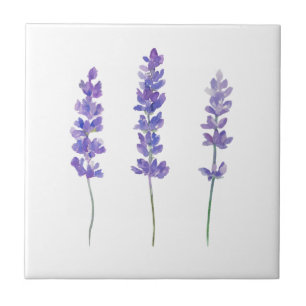 Lavanda Brilha Azulejo cerâmica
