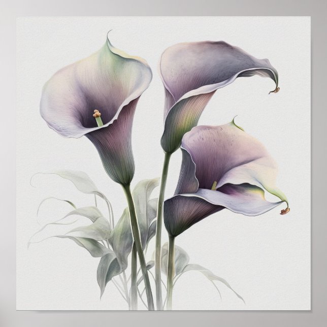 Lavanda Calla Lily Flower Art Impressão Poster (Frente)