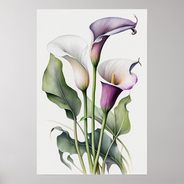 Lavanda Calla Lily Flower Art Impressão Poster (Frente)