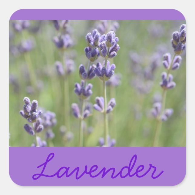 Lavanda de adesivos (Frente)