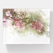 Lavanda de Aquarela Puro Jasmine