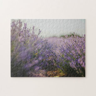 Lavanda de campo de Quebra-cabeça
