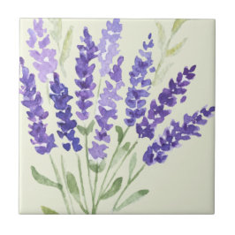 Lavanda de Decoração do País Francês