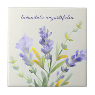 Lavanda de Decoração do País Francês