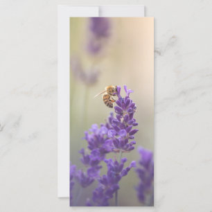 Lavanda  do Cartão com fotos natural das abelhas 