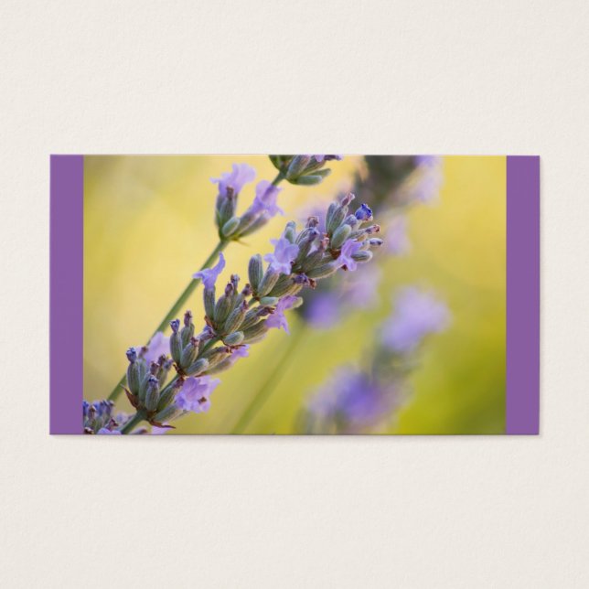 Lavanda doce (Frente)