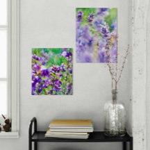 Lavanda Dreamscapes: Uma Dueta da Serenidade Roxa