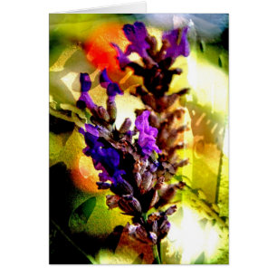 Lavanda e colagem da oxidação - cartão