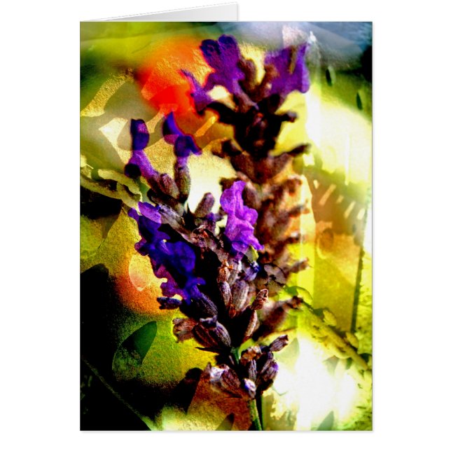 Lavanda e colagem da oxidação - cartão (Frente)
