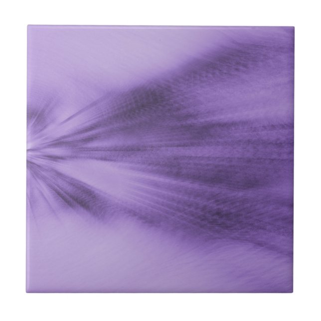 Lavanda Explosiva (Frente)