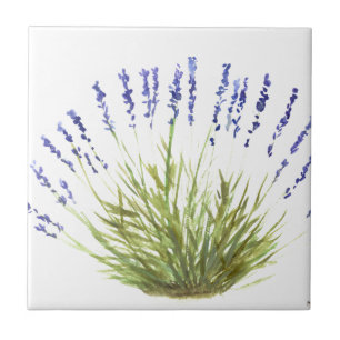 Lavanda flor flor flores da cozinha aquarela
