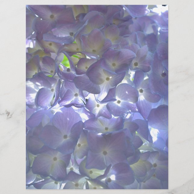 Lavanda Hidrangeas flores roxas (Frente)