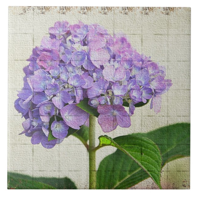 Lavanda Hydrangea Azulejo (Frente)