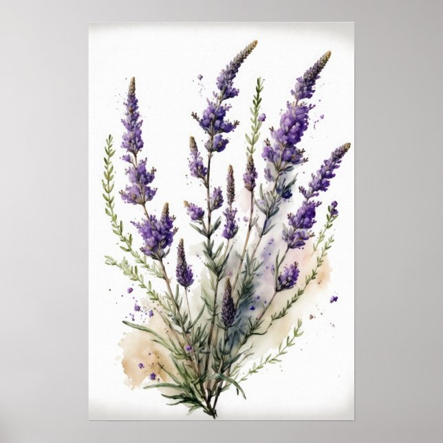 Lavanda Impressão de Flores de Poster (Frente)