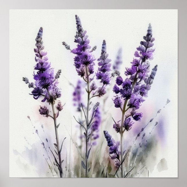 Lavanda Impressão de Flores de Poster (Frente)