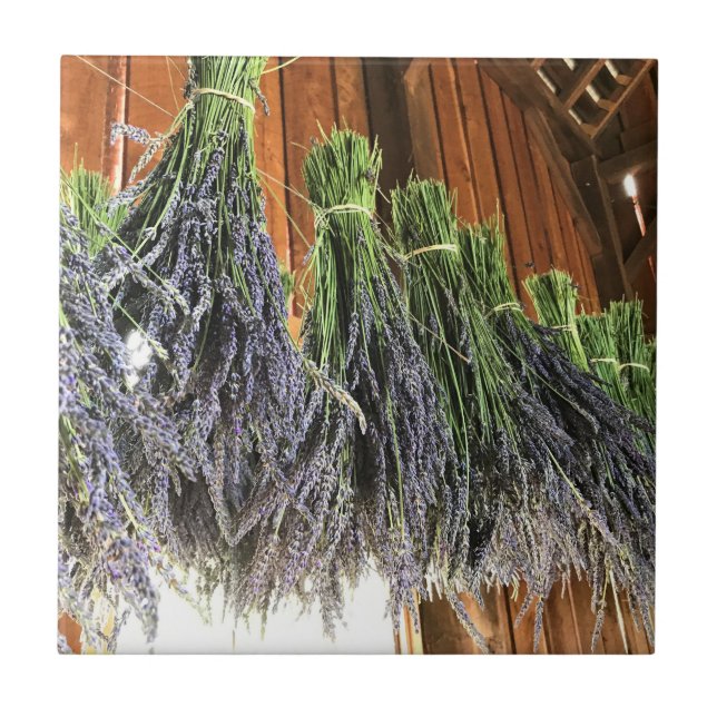 Lavanda pendurada em um celeiro (Frente)