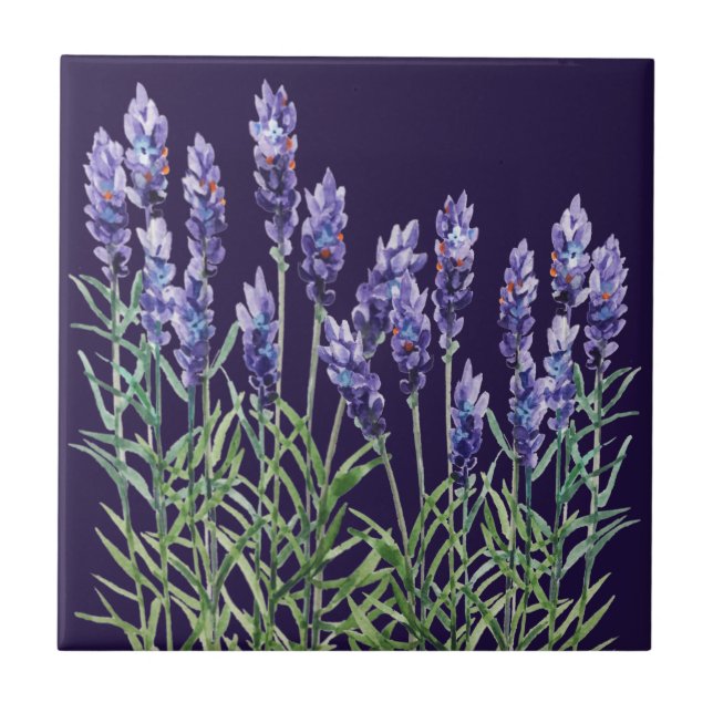 Lavanda pintada com aquarelas (Frente)