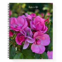 Lavanda Rosa Rosa Hardcover