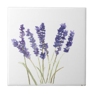 Lavandas de flores, lavanda francesa