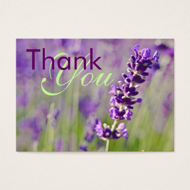 Lavendar - Obrigado Profilecard (Frente)