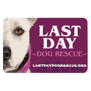 LDDR 4" x 6" ímã do logotipo