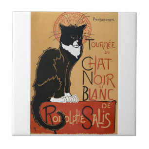 Le Chat Noir et Blanc