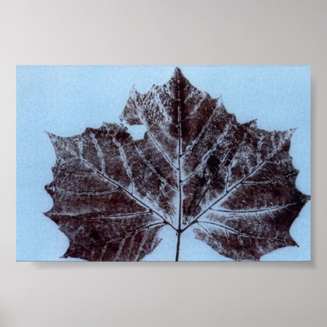 Leaf Nature Impressão MiniPoster (Frente)
