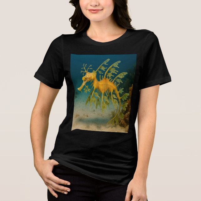 Leafy Sea Dragon (Frente)