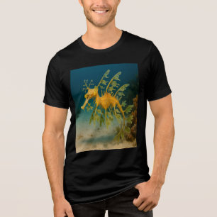 Leafy Sea Dragon
