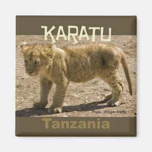 Leão Cub da imã de geladeira de Karatu Tanzânia