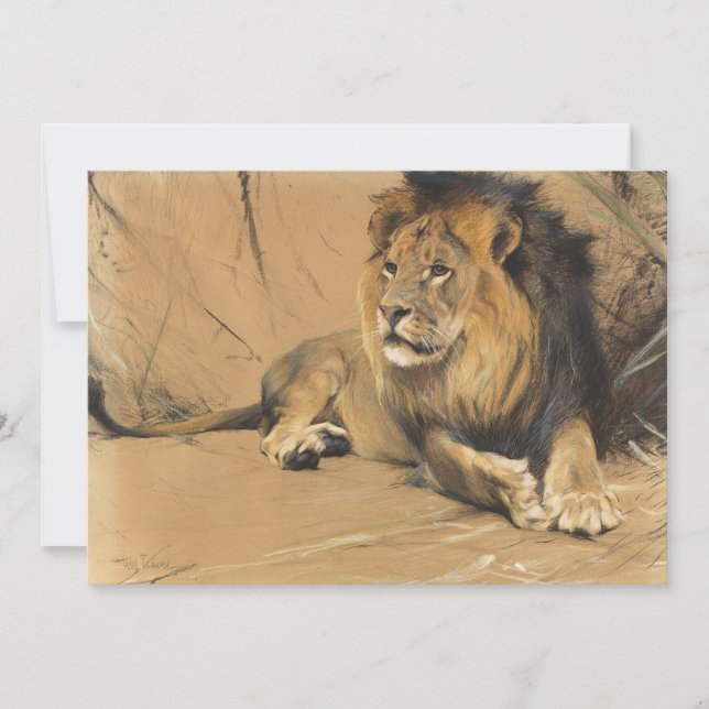 Leão de aninhamento | Wilhelm Kuhnert (Frente)