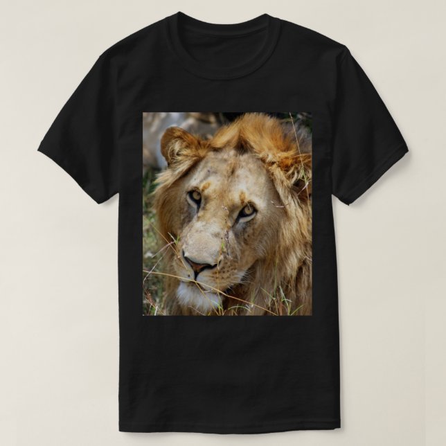 Leão de camisa (Frente do Design)