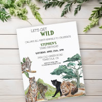 Leão Grandes Felinos Selva Safari Selvagem Anivers